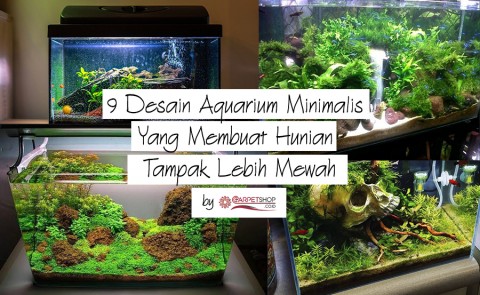 9 Desain Aquarium Minimalis Yang Membuat Hunian Tampak Lebih Mewah