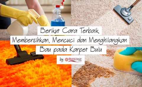 Berikut Cara Terbaik Membersihkan, Mencuci dan Menghilangkan Bau pada Karpet Bulu