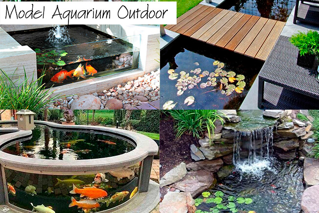 Model Aquarium Outdoor