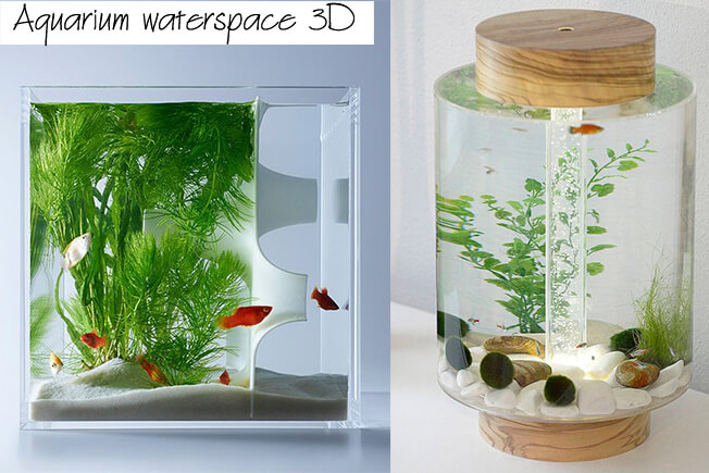 Aquarium waterspace 3D
