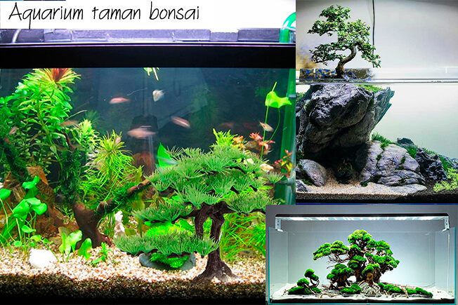 Aquarium taman bonsai
